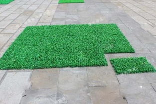北京仿真草坪与鲜花绿植 美化环境的选择与优势