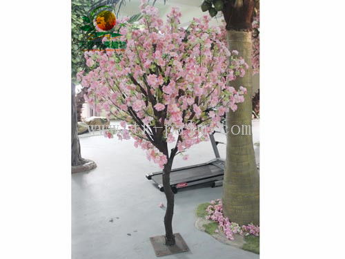 江苏连云港万达公司主推绿植采购，打造健康环保办公与生活环境