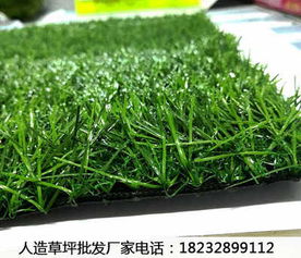元谋人造草坪与绿植厂家选购指南及价格参考