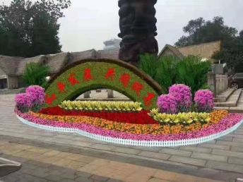 北京花卉绿植租摆租赁服务 美化空间，焕发生机