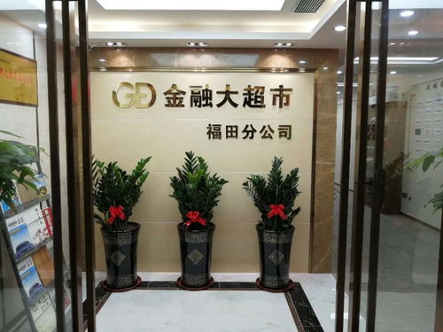 深圳南山办公室花卉租摆服务 专业园艺公司推荐与绿植选择指南