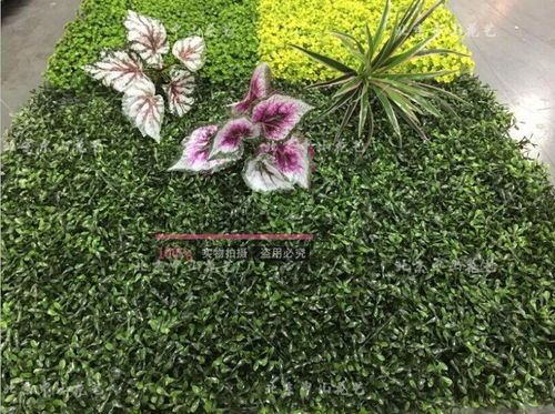 北京哪里有卖仿真植物墙和绿植墙的厂家及销售指南
