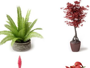 现代绿植盆栽 精品陶罐与绿植景观设计图下载指南