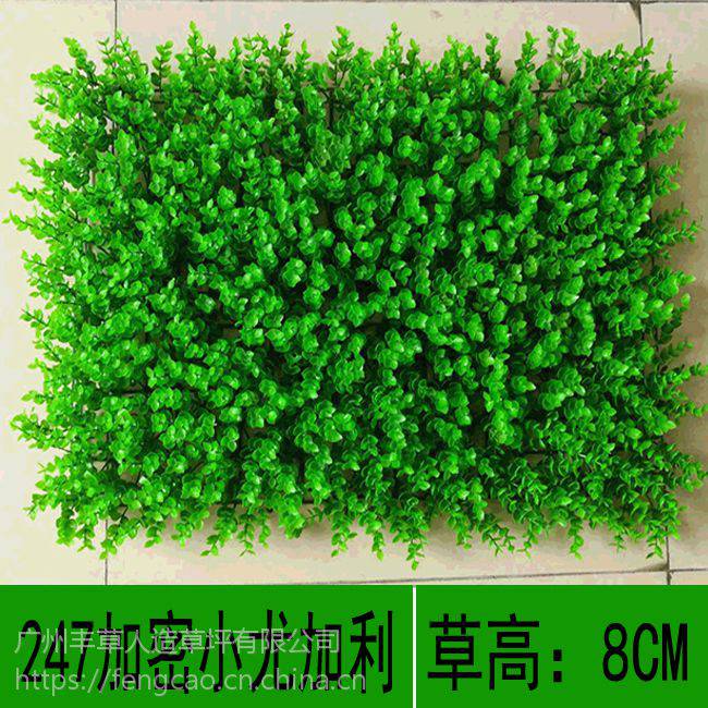 绿植墙装饰 仿真植物的多元应用与销售前景