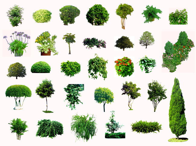 从PSD到绿植 数字设计与自然生态的和谐共生