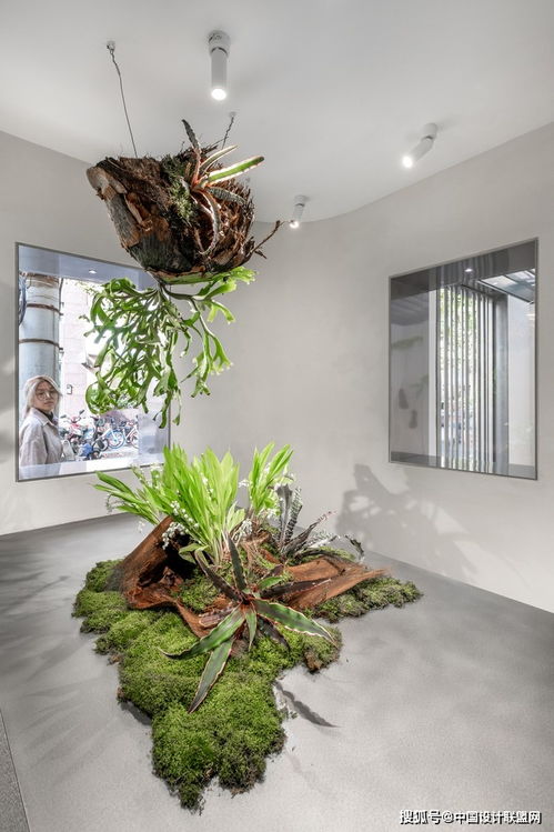 木君建筑花艺艺术展厅 盆景销售与空间美学的融合