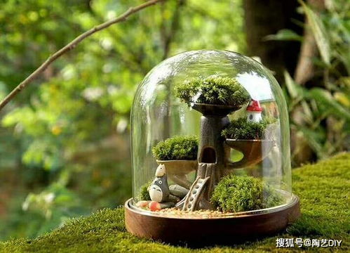 优加花律系列 盆景之美的全新演绎